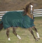 horseblanket200.jpg