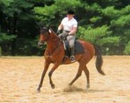 bollinger_oneeyedhorse.jpg