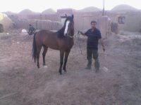 khalij (3).jpg