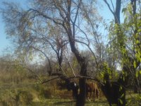 DSC00520.JPG