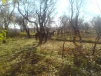 DSC00521.JPG