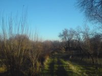 DSC00533.JPG