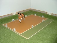 Dressage.jpg