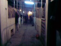 Photo-0032.jpg
