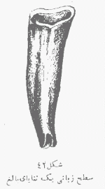 42.gif