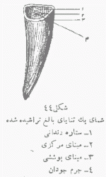 44.gif