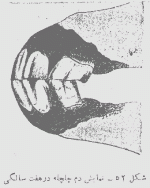 52.gif
