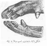 96.jpg