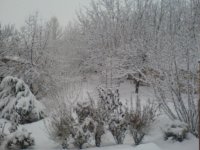 DSC00363.JPG