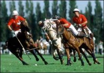 modern_polo.jpg