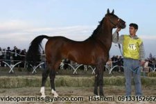 Jassas esfhan 1385.jpg