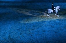 Sicab the International Pre Horse Fair show4.jpg