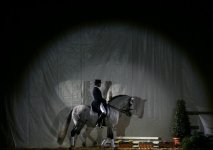 Sicab the International Pre Horse Fair show2.jpg