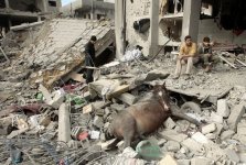 gaza.jpg