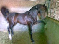 07072006233.jpg