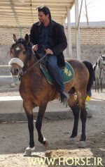 karabakh1.jpg