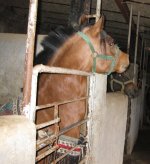IMG_0209.jpg