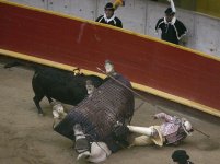 bullfight.jpg