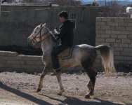 IMG_022;;;;;5.jpg