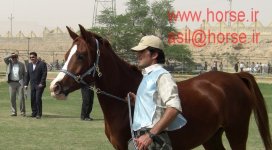 diba rokh shahabi 1392.JPG