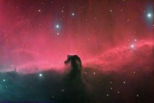 The%20Horsehead%20Nebula%20_fr.jpg