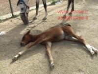CIMG1475.JPG