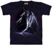horseshirt-moonlit.jpg