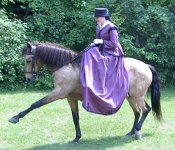 sidesaddle1(small).jpg