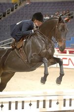 1101_sidesaddle.jpg
