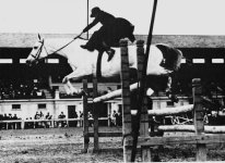 je_sidesaddle.jpg