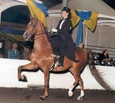 Pomona-sidesaddle-formal.jpg