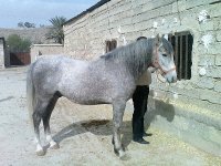 87120908 bur asb 3 m amanolah khan (4).jpg