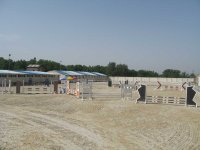 IMG_1136.jpg