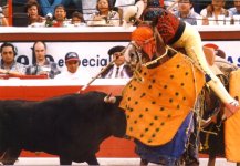 bullfighting2.jpg