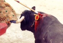 bullfighting3.jpg