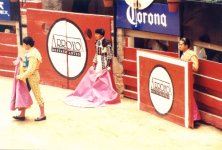 bullfighting5.jpg