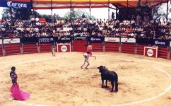 bullfighting6.jpg