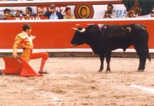 bullfighting11.jpg