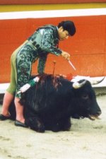 bullfighting14a.jpg