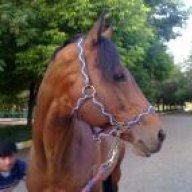 alireza1376