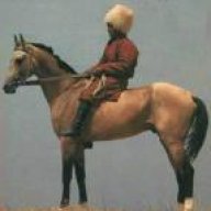 mohamad khoshfar