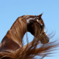 احسان بالاور