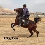 Javad Gh