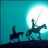 vahid_m63